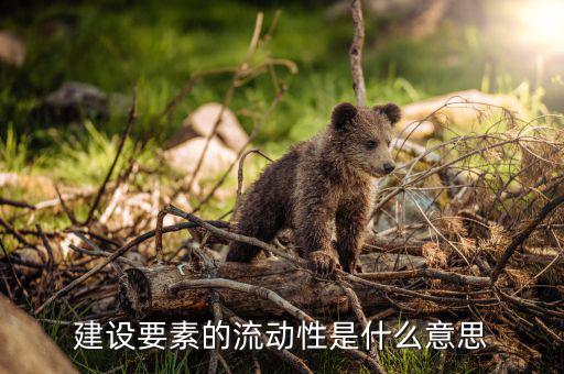 什么是要素流動(dòng)，建設(shè)要素的流動(dòng)性是什么意思
