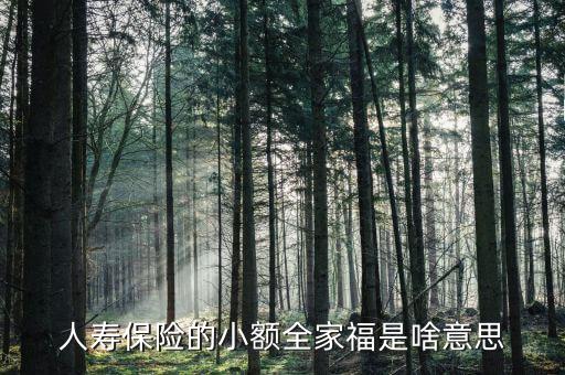 人壽全家福是什么意思，人壽保險的小額全家福是啥意思
