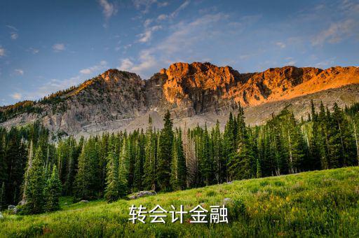什么是外匯飽和，國(guó)外網(wǎng)友說(shuō)要轉(zhuǎn)外幣給我叫我轉(zhuǎn)給她國(guó)內(nèi)的朋友她國(guó)內(nèi)的朋友銀