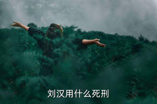 劉漢什么罪，劉漢用什么死刑