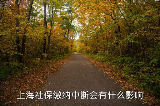 上海生育保險中斷有什么影響，上海社保繳納中斷會有什么影響