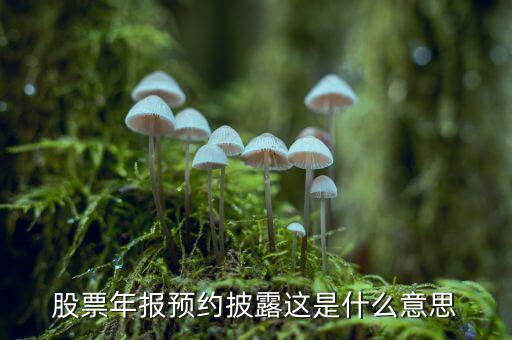 股票披露是什么意思，股票年報預(yù)約披露這是什么意思