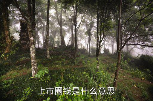 上市圈錢(qián)是什么意思