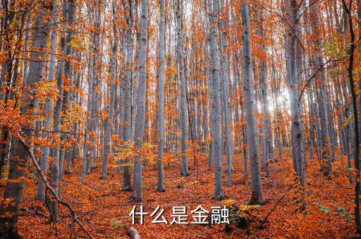 金融是什么，什么是金融
