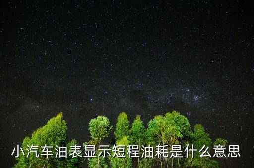 油耗顯示是指什么，請(qǐng)教專(zhuān)業(yè)人士瞬時(shí)油耗顯示是什么意思