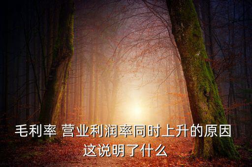 毛利率增長(zhǎng)說(shuō)明什么，增值稅毛利率的高低說(shuō)明什么