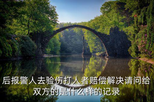 什么是賠償記錄，什么是無賠款優(yōu)待及上年賠款記錄系數(shù)