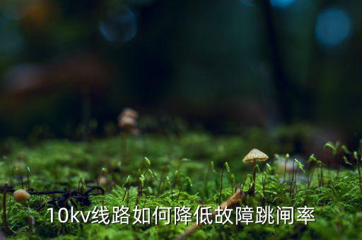 為什么巡視一汽集團(tuán)，考駕照筆試可以照抄嗎