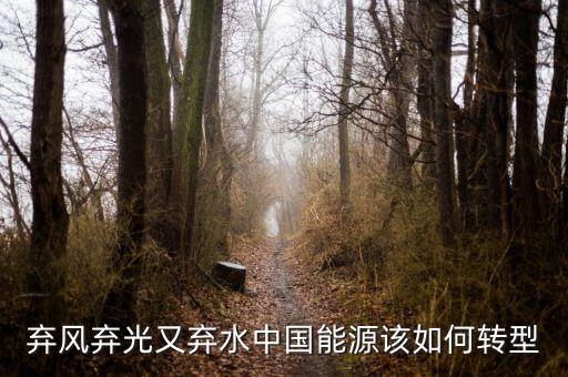 什么是能源轉(zhuǎn)型，棄風(fēng)棄光又棄水中國能源該如何轉(zhuǎn)型