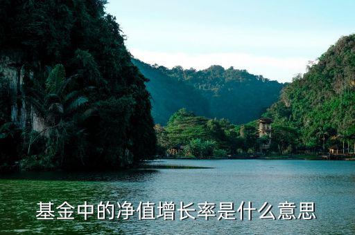 基金增長(zhǎng)率是什么意思，在基金里成立以來(lái)增長(zhǎng)率是什么意思啊如成立以來(lái)增長(zhǎng)率是80