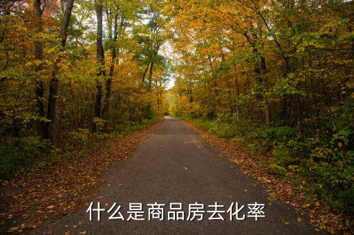 什么是新開(kāi)樓盤(pán)去化率，房產(chǎn)去化率是什么