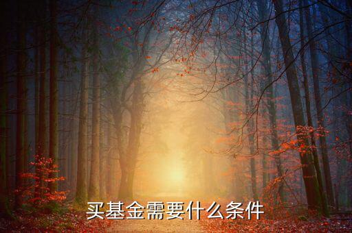 買基金有什么條件，買基金都需要什么條件啊