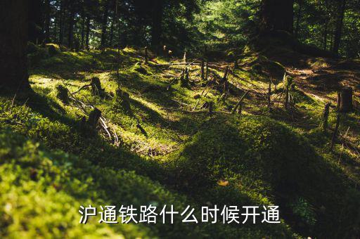 滬臺(tái)通什么時(shí)候開通，上海到臺(tái)州的火車是什么時(shí)候開通的