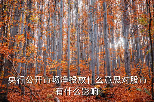 什么是央行凈投放，央行凈投放是甚么意思