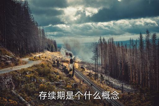 什么是貸款存續(xù)期，什么叫存續(xù)期看百度百科看不懂求簡單易懂的解釋