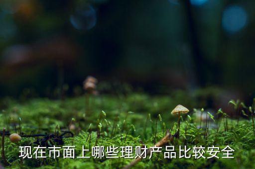 什么理財(cái)產(chǎn)品安全，做理財(cái)哪種安全些