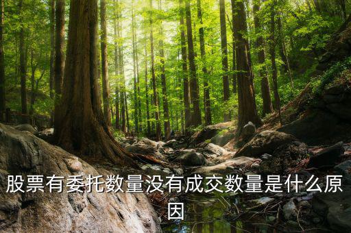 股票沒有成交量是什么情況，為什么股票沒有成交