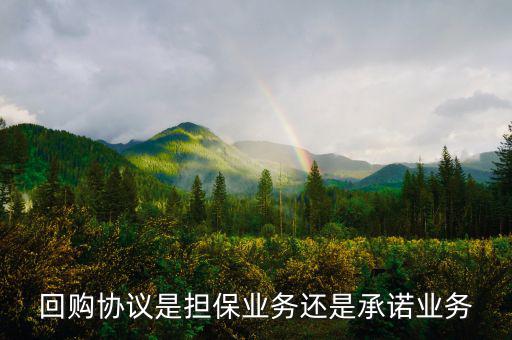 資產(chǎn)回購協(xié)議屬什么合同，股權(quán)轉(zhuǎn)讓及回購協(xié)議屬于借款合同嗎
