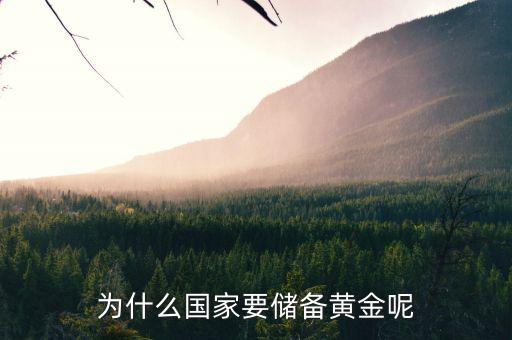 黃金為什么是儲備，國家為什么要儲備黃金不儲備鉑金鈀金這些也值錢啊為什么只