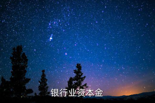 銀行資本金是什么，銀行業(yè)資本金