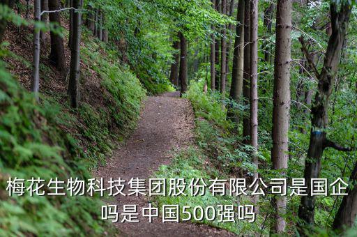 梅花生物是什么板塊，梅花生物科技集團股份有限公司是國企嗎是中國500強嗎