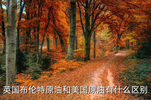 布油與美國原油有什么不同，英國布倫特原油和美國原油有什么區(qū)別