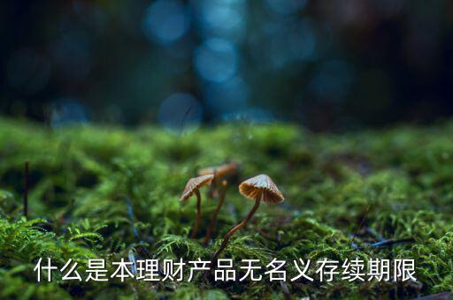 什么是本理財(cái)產(chǎn)品無(wú)名義存續(xù)期限