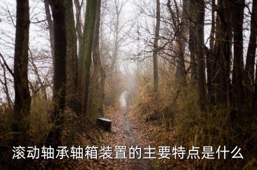 什么是軸箱軸承，什么是軸承