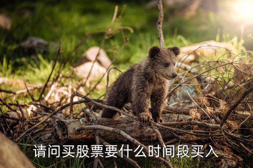 什么時(shí)候買入股票，請(qǐng)問買股票要什么時(shí)間段買入