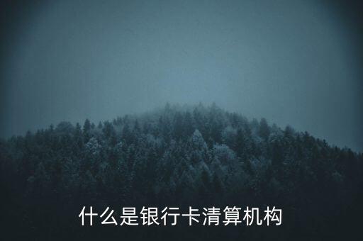 同一卡組織清算機構(gòu)指什么，銀行卡清算機構(gòu)銀行支付機構(gòu)到底有什么區(qū)