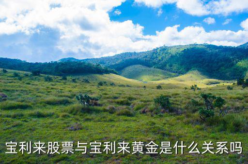為什么寶利來大漲，寶利來會漲嗎