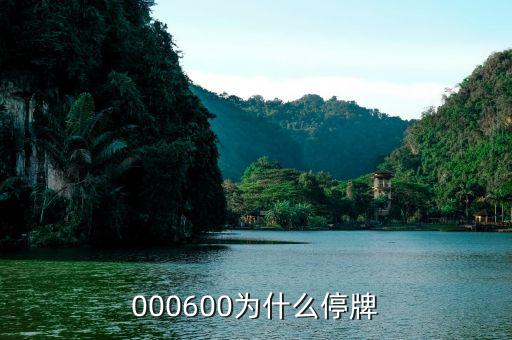 軟控股份為什么停牌，002399今天為什么停牌