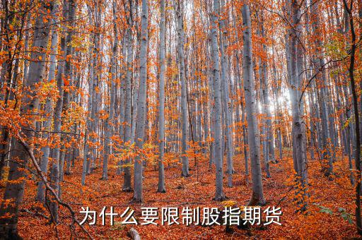 為什么不暫停股指期貨，為什么要限制股指期貨
