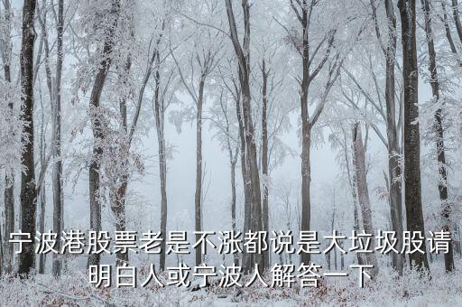 寧波港股票老是不漲都說是大垃圾股請明白人或寧波人解答一下