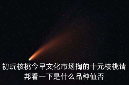 賭核桃是什么品種，請(qǐng)問我這個(gè)手玩核桃是什么品種好嗎值多錢