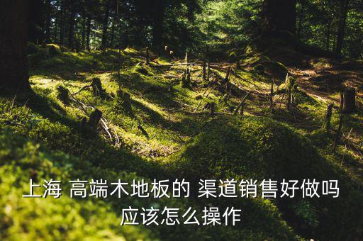 上海 高端木地板的 渠道銷售好做嗎應該怎么操作