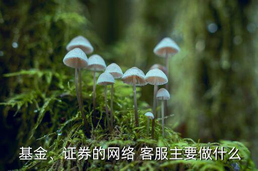  基金、證券的網(wǎng)絡(luò) 客服主要做什么