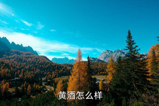 白塔黃酒怎么樣,陳黃灑、黃精統(tǒng)稱為什么?