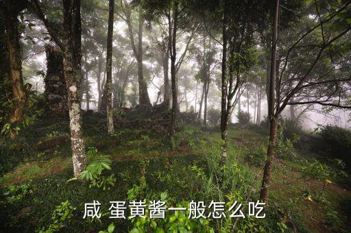 人造蛋黃醬怎么吃,蛋黃醬可用于面包沙拉、壽司等
