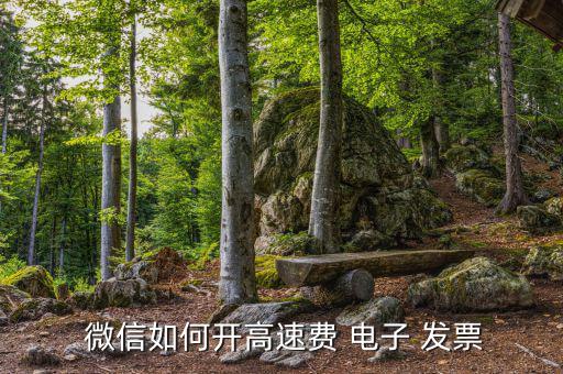 微信電子發(fā)票怎么打印,江蘇聯(lián)通怎么用無(wú)感收費(fèi)打印發(fā)票?