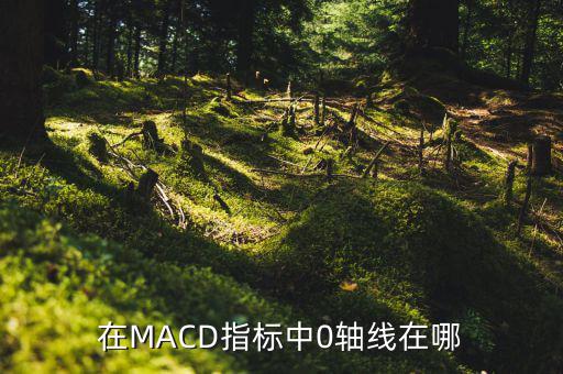 手機(jī)股票沒有零軸怎么辦,股價突破零軸線意味著什么東西?