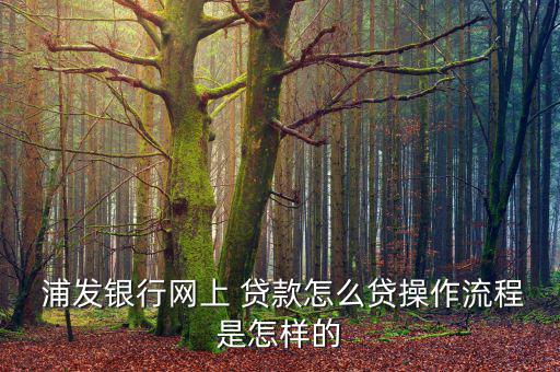  浦發(fā)銀行網上 貸款怎么貸操作流程是怎樣的