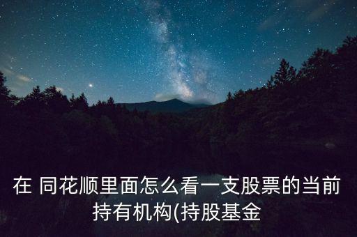 在 同花順里面怎么看一支股票的當(dāng)前持有機構(gòu)(持股基金