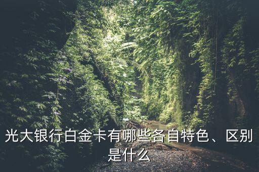光大銀行白金卡有哪些各自特色、區(qū)別是什么