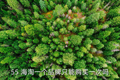 55海淘怎么返利,買(mǎi)多了被查要扣錢(qián)!海淘導(dǎo)購(gòu)返利網(wǎng)站推介
