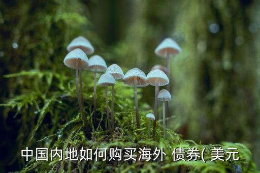 美元債券怎么買(mǎi),想知道買(mǎi)什么類(lèi)型的美國(guó)國(guó)債?