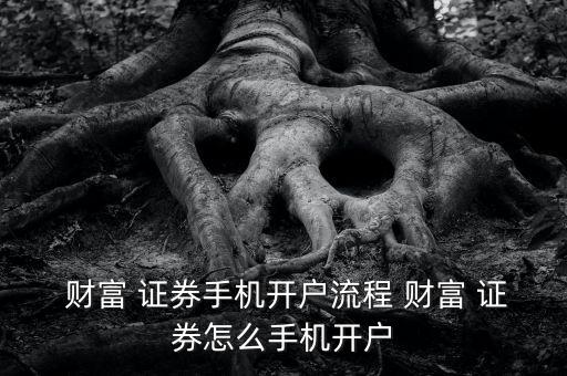  財(cái)富 證券手機(jī)開(kāi)戶(hù)流程 財(cái)富 證券怎么手機(jī)開(kāi)戶(hù)