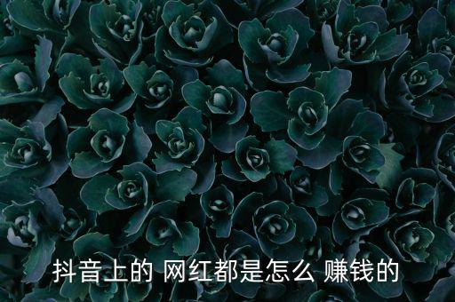 抖音上的 網紅都是怎么 賺錢的