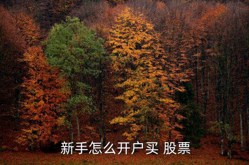  新手怎么開(kāi)戶(hù)買(mǎi) 股票