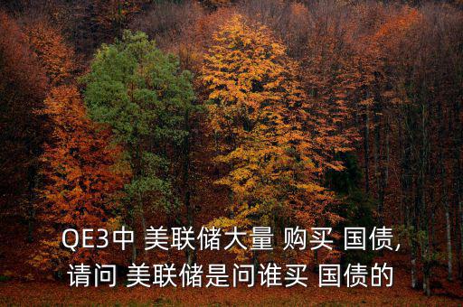 QE3中 美聯(lián)儲(chǔ)大量 購(gòu)買 國(guó)債,請(qǐng)問 美聯(lián)儲(chǔ)是問誰買 國(guó)債的